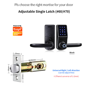 Dijital anahtarsız giriş akıllı ev kilidi TTLock APP ile TUYA WIFI parmak izi akıllı kapı kolu kilidi - Product Image 6