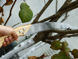 גיזום יד מסור נייד עץ סתגלן קמפינג מזמרת גן נגרות רישום כלי מסור - Product Image 3