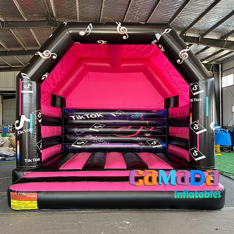 สีดำที่มีสีสัน