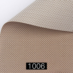 1006