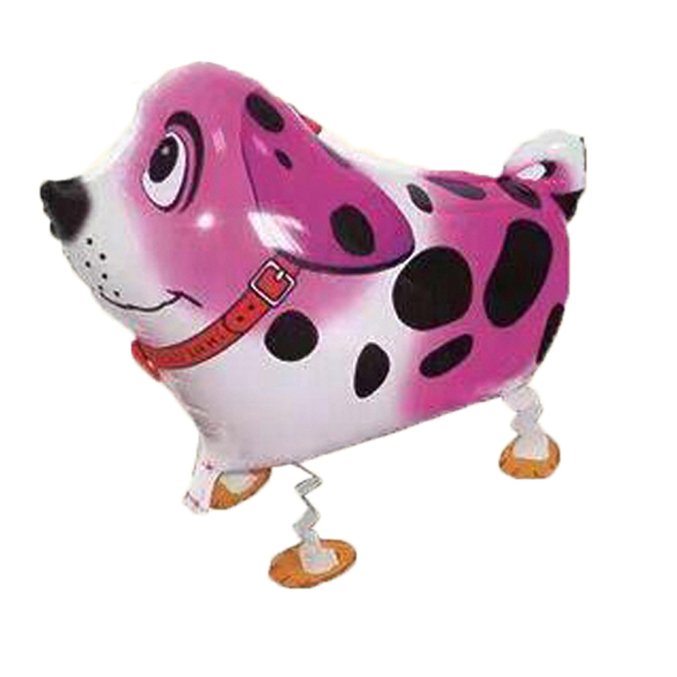 Walk Dalmatian Rosa