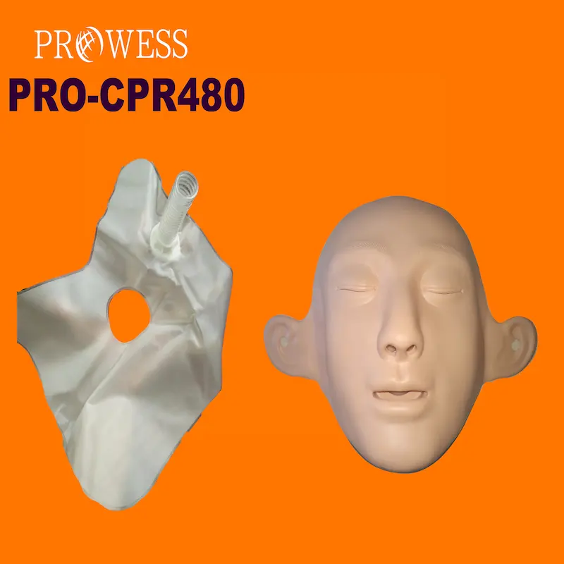 PRO-CPR480 vendite calde nuove personalizzano i manichini salvavita umani multifunzione Full Body CPR Medical manichini bambola Medical Sci