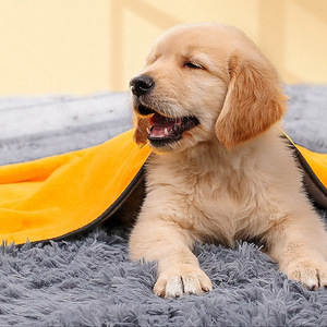 Büyük Multigrid banyo havlusu evcil hızlı kurutma yumuşak mercan kadife emici polar dokuma teknikleri düz stil Golden Retriever - Product Image 1
