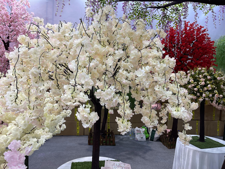 Arbre champange