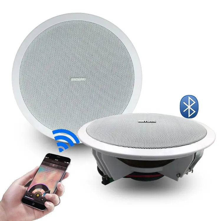 8-inch Active Ceiling Speaker Box Sonidos 12 to 15V Wireless BT5.0 Amp Module + Party Passive Speaker 6.5 Wireless Sonorisation