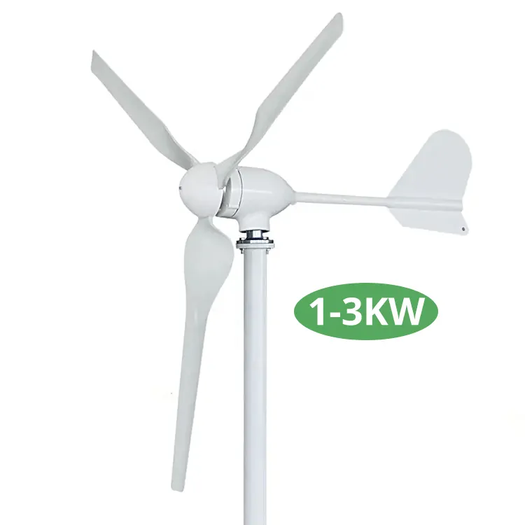 Generatore eolico di alta qualità da 3000 Watt orizzontale 48V 3 lame 3kw prezzo della turbina eolica