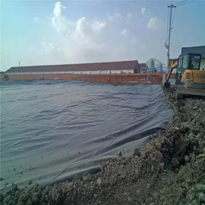 <strong>HDPE</strong> LDPE LLDPE Plastic Sheeting Roll 1mm 1.5mm 60 Mil Liner Geomembrane Polyethylene Sheet Pond for Fish - Product Image 6