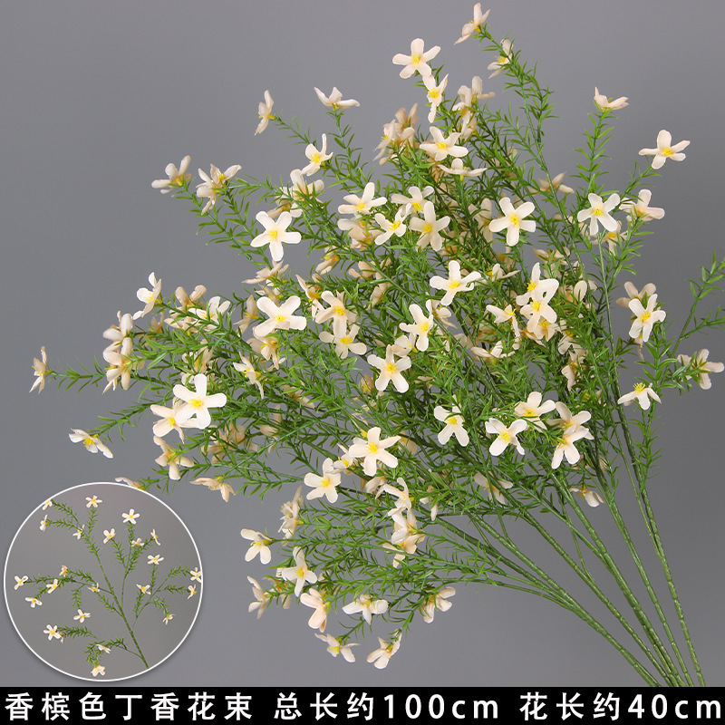 Bouquet de lilas couleur champagne
