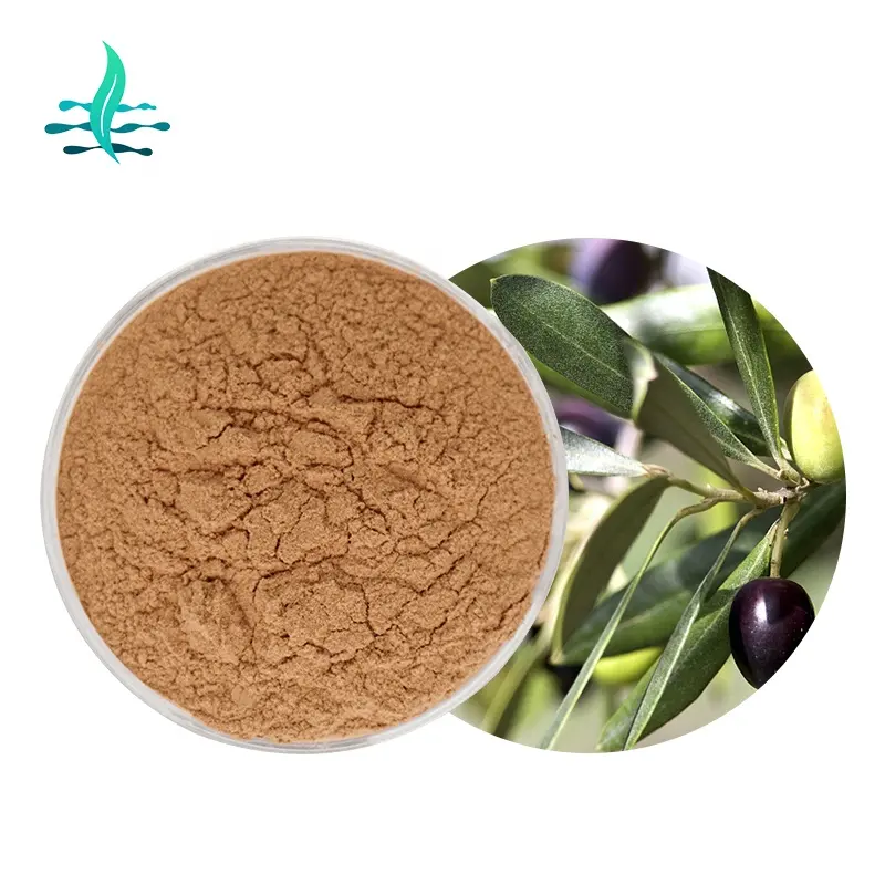 Groothandel Bulk Olive Leaf Extract Poeder Oleuropein