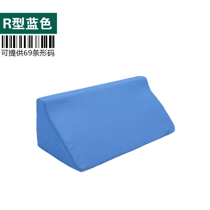 อาร์-ไทป์ บลู