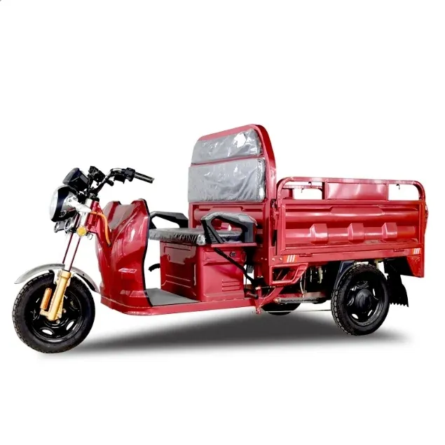 Triciclo elettrico 3 ruote moto per il carico dalla Cina fabbrica di carico triciclo