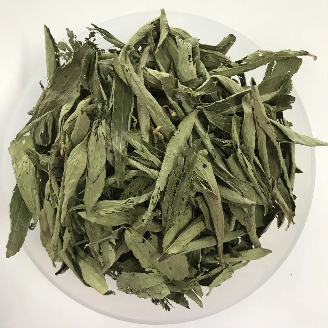 5011 Tian ju ye doğal sağlık kurutulmuş Stevia Rebaudian yaprak çay