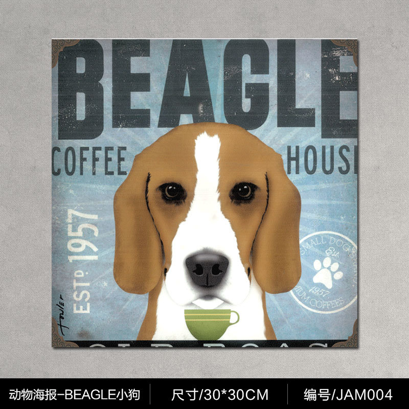 Chiot beagle