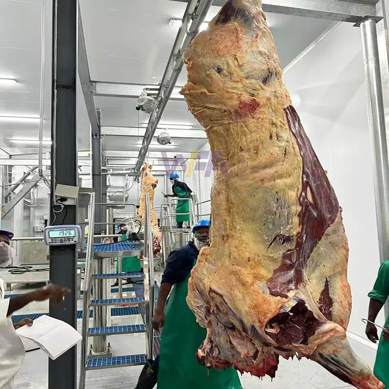 Mesin abattoir banteng rumah pemotongan sapi domba komersial untuk peralatan daging pemotongan hewan ternak