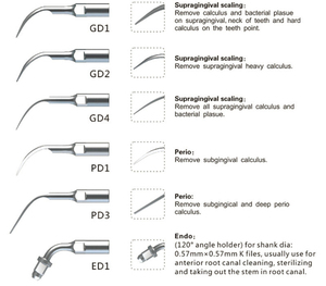 SSKS ölçekleme İpuçları SATELEC gngndte hu-friedy ölçekleyici için stant kiti diş beyazlatma kitleri - Product Image 6