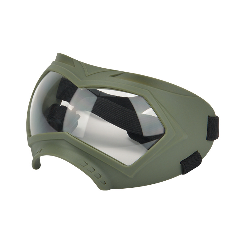 Green frame transparent lens