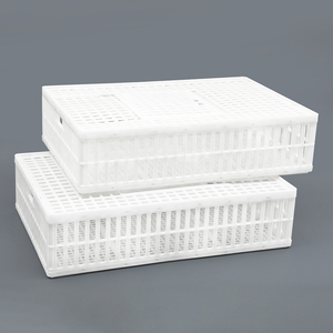 Foldable and <strong>Stackable</strong> Plastic Poultry Transport <strong>Crate</strong> <strong>Size</strong> 960*570*270mm with Removable Bottom for Easy Cleaning Suitable - Product Image 3