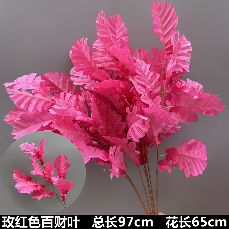 Bucaiye rojo rosa