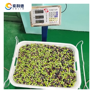 500KG/एच <span class=keywords><strong>2</strong></span> चरण जुदाई निष्कर्षण द्वारा जैतून का तेल निष्कर्षण मशीन
