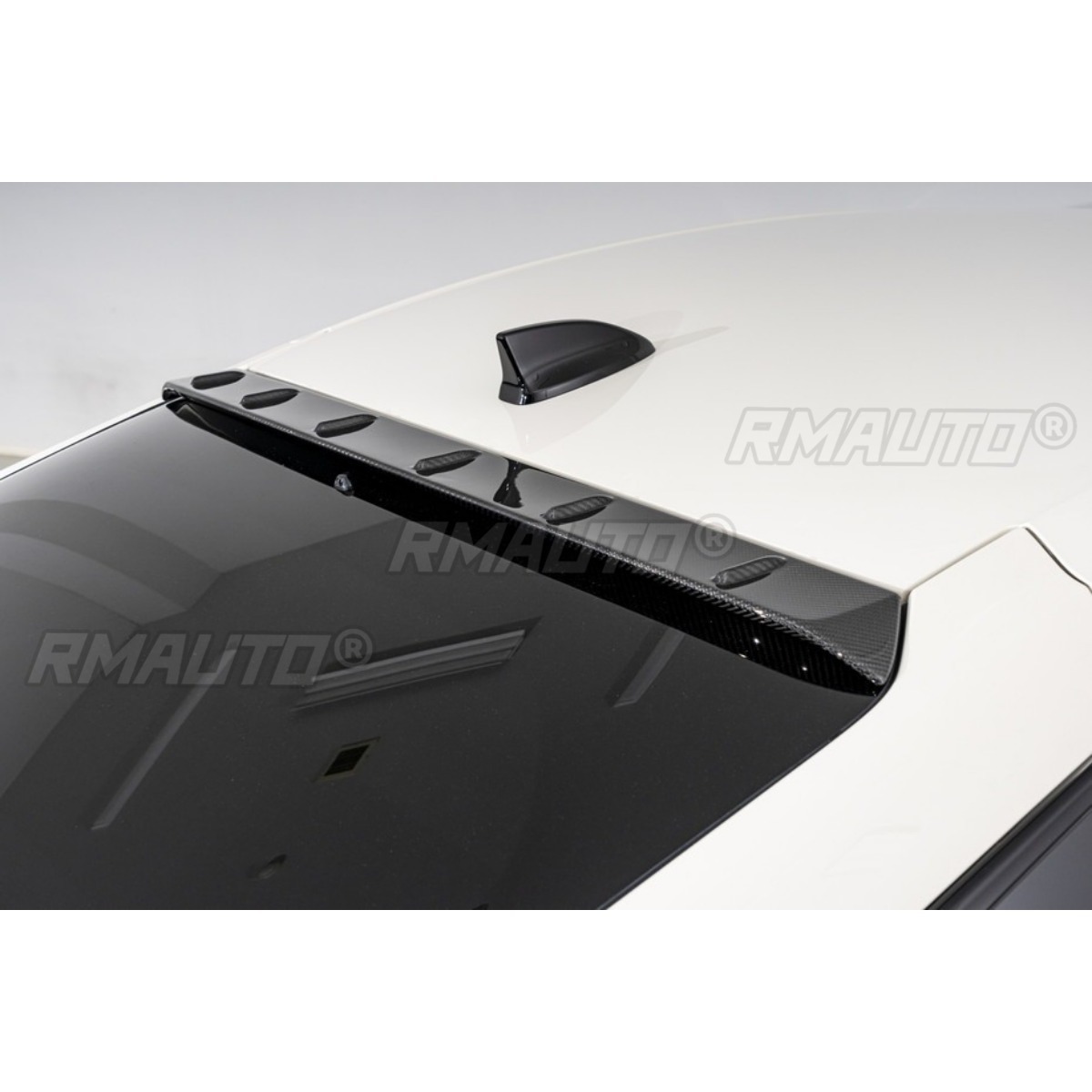 ลายคาร์บอน