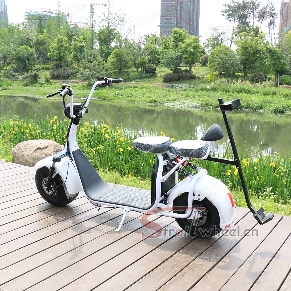 2000W 2 grandes roues ville scooter citycoco voiturette de golf hors route Scooter Électrique avec Grandes Roues