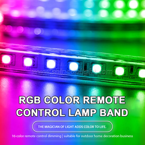 5050カラフルなLEDライト、RGBリビングルーム天井調光インテリジェント防水リモコン色変更ライト - Product Image 2