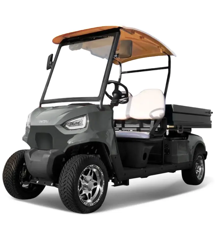 2 Seater with Cargo Box Golf Cart DOT Approved Golf Utility Cart