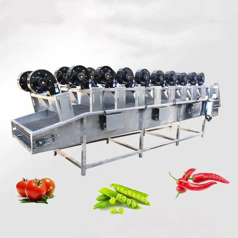 Máquina de secagem de frutas e vegetais, máquina para secagem de ar para desborrifação ou bebedouro
