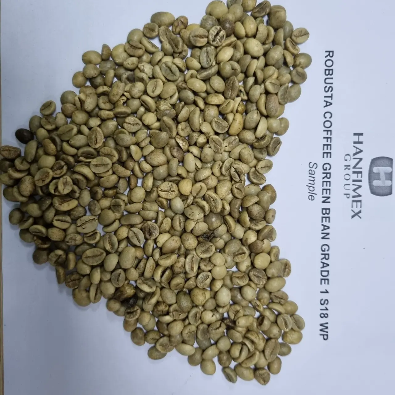 베트남 로부스타 커피 원두 크기 18 습식 닦은 새로운 곡물 도매 저렴한 가격 최고 직접 농장 공장 HanfIMEX 008437407