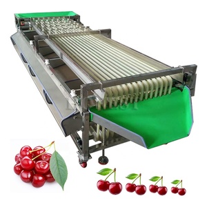 High Quality <strong>Dates</strong> <strong>Sorting</strong> <strong>Machine</strong> / Vegetable <strong>Sorting</strong> <strong>Machine</strong> / Blueberry <strong>Sorting</strong> <strong>Machine</strong> - Product Image 4