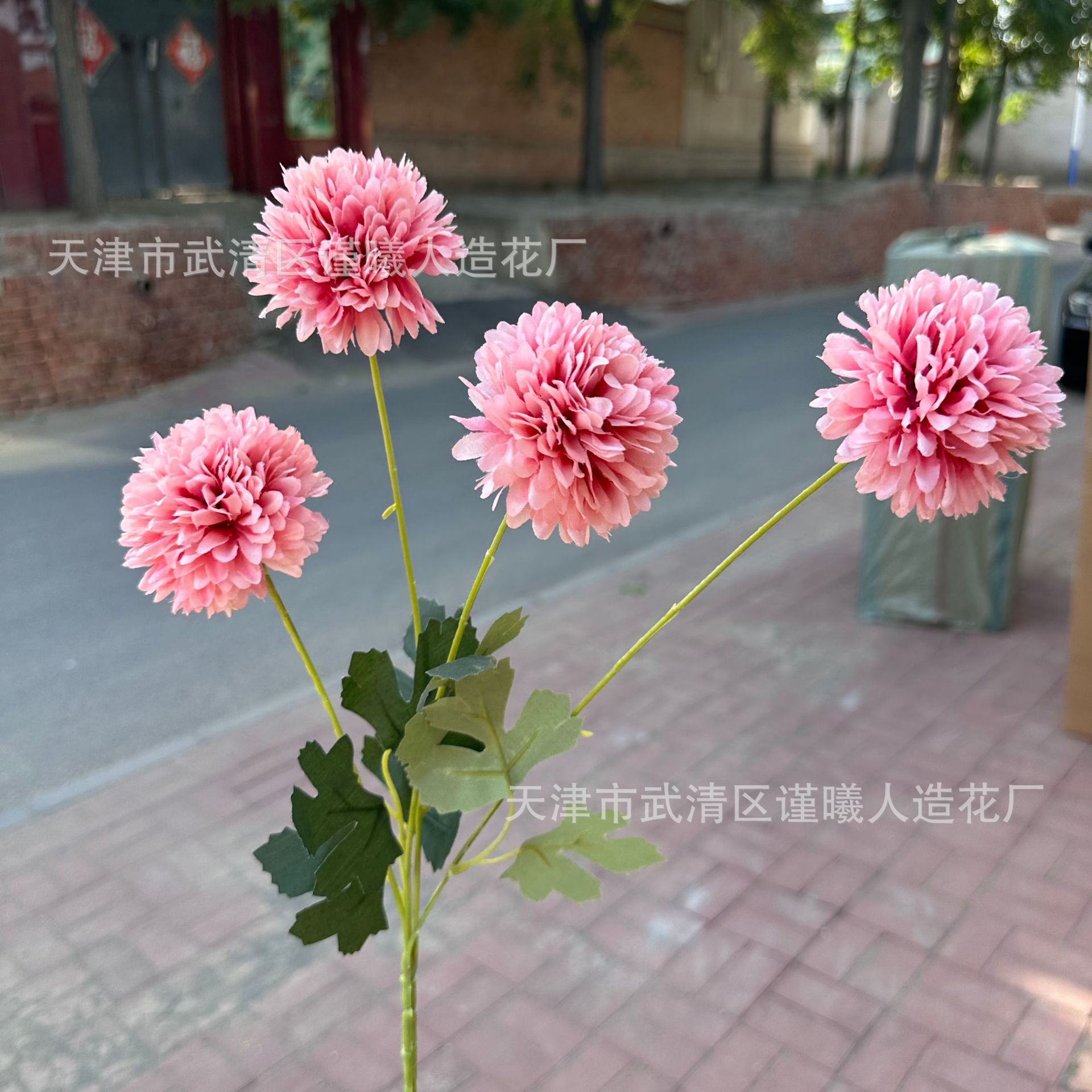 chrysanthème à 4 têtes