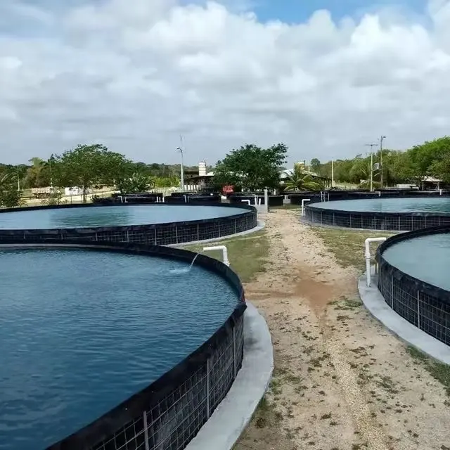 Geomembrane HDPE Liner Geomembrane 100% Virgin Material For Fish Farming Tank Shrimp Circular Pools