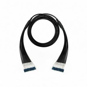 टीपू सामग्री बख्तरबंद एकल मोड 12-कोर फाइबर ऑप्टिक पैच कॉर्ड एलसी/एससी/एससी/एफएससी/एसटी - Product Image 1