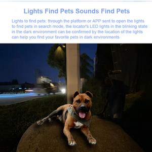 High Quality GPS Tracker With GPRS <strong>Module</strong> Reasonable Price Pet Collar Tracking BDS+AGPS+LBS Multiple Positioning GSM+GPS Locator - Product Image 4