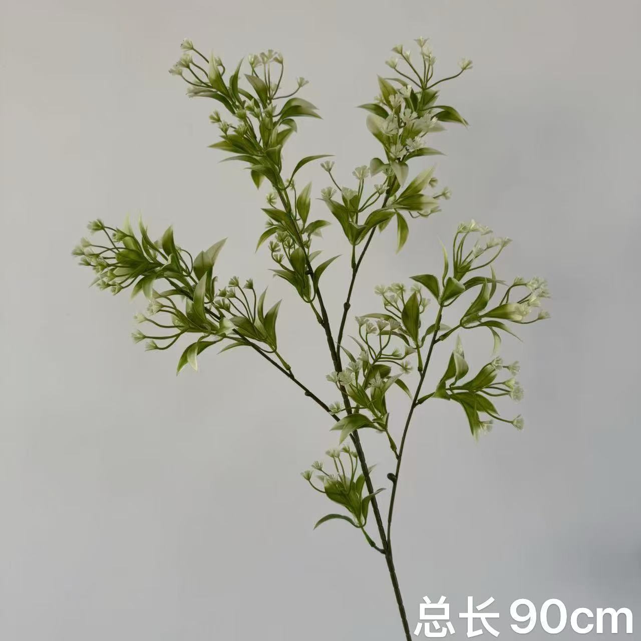 Original color osmanthus grass
