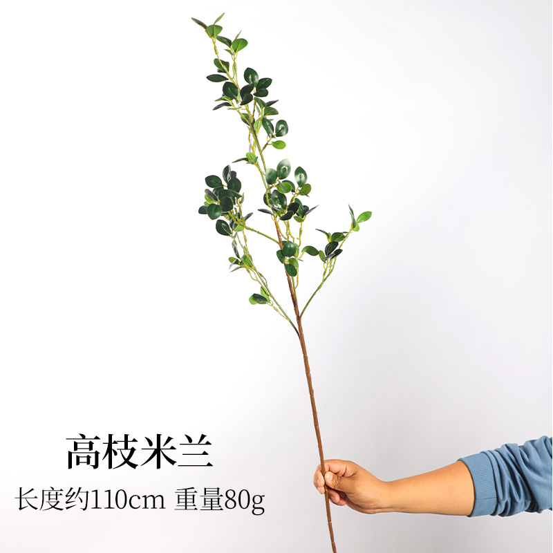 Grande succursale Milan