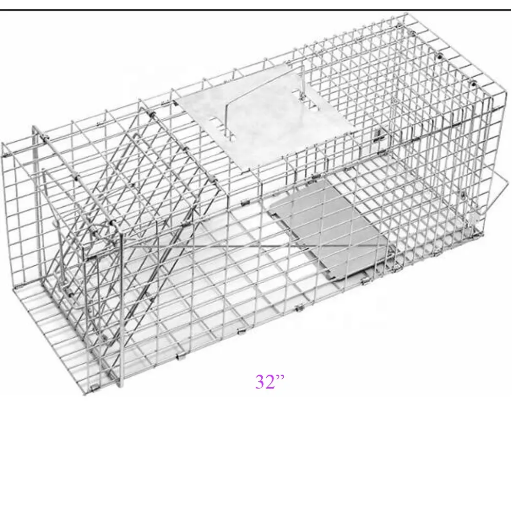 Grande cage de piège à animaux vivants pour les ratons laveurs, les chats, les bobchats, les beignets, les petits chiens, les marmottes, les opossommes