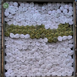 Wholesale Galvanized Square Woven <strong>Wire</strong> <strong>Mesh</strong> 5x5 8x8 10x10 Coffee Tray <strong>Wire</strong> Netting for Coffee Beans - Product Image 6