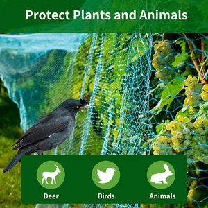 Anti <strong>Bird</strong> <strong>Netting</strong> for <strong>Garden</strong> Protect Vegetable Plants and Fruit Trees - Product Image 3