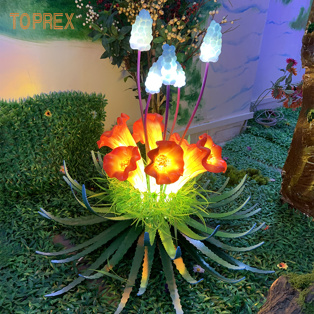 กลางคืน-บาน cereus