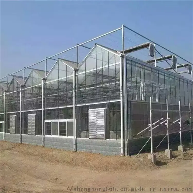 Serra idroponica della serra di vetro intelligente della serra di agricoltura commerciale Multi-Span