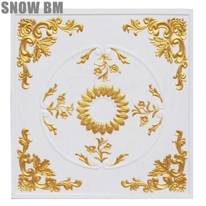雪 BM 功能石膏图案设计天花板与 COC 证书 - Product Image 1