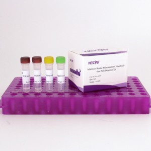 50T/키트 소 감염성 Rhinotracheitis 바이러스 (IBRV) 실시간 PCR 검출 키트-20 ℃ 저장/고감도 | 수의사 진단 - Product Image 1