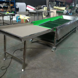 <strong>Automation</strong> Sort by Size Fruit Blueberry Grading <strong>Machine</strong> Fruit <strong>Sorting</strong> <strong>Machine</strong> - Product Image 3