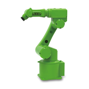 Braccio Robot a 6 assi per l'imballaggio, il caricamento e l'industria generale