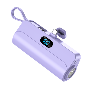 New 2025 Products OEM 5V2A Large Capacity 5000mAh Portable Charging Bank Mini Charger for Iphone Type C <strong>Small</strong> <strong>Apple</strong> Power Banks - Product Image 4