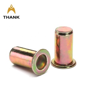 Stainless Steel / Carbon Steel M4 M5 <strong>M6</strong> M8 M10 Galvanized Hexagon Flat Head <strong>Closed</strong> <strong>End</strong> Blind <strong>Rivet</strong> <strong>Nut</strong>