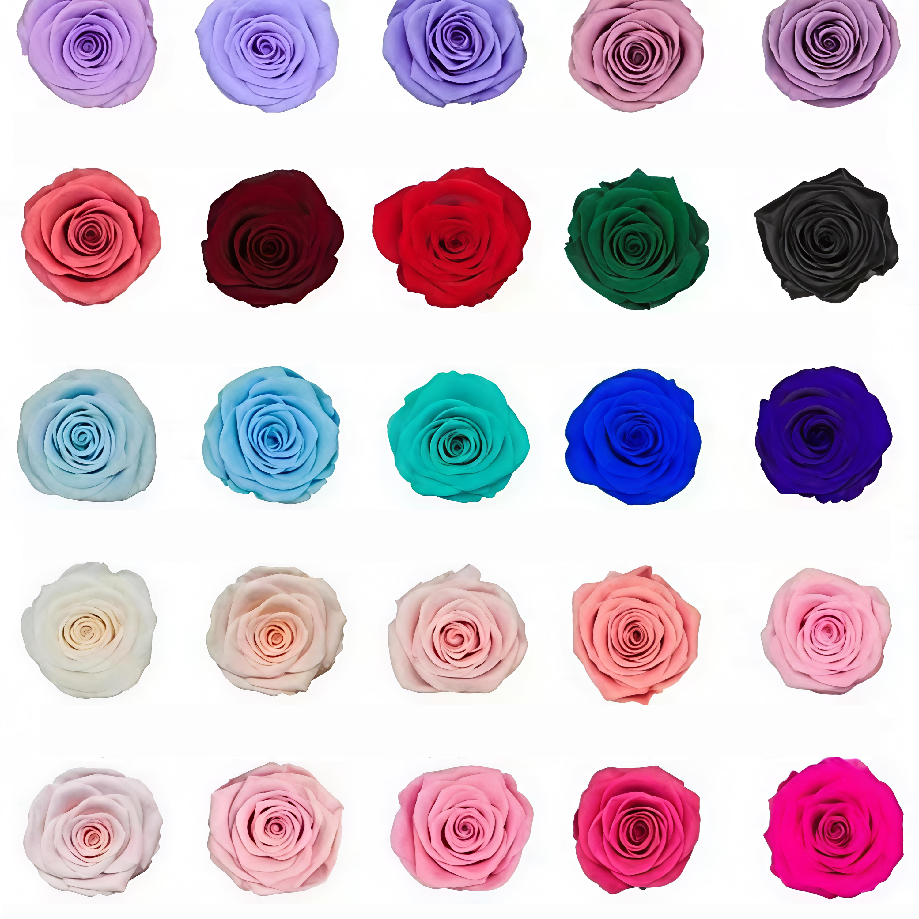 Couleurs supplémentaires (si non spécifié, la valeur par défaut est le rouge)