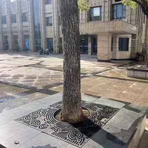铸铁雨水格栅盖护栏架和大门金属水池格栅镀板，用于道路应用树木保护 - Product Image 5