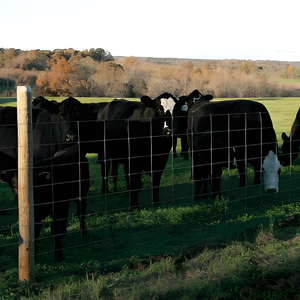 Galvanized 5 6 <strong>7</strong> 8 ft Fixed Knot Farm Fence Metal <strong>Wire</strong> <strong>Mesh</strong>/deer Field Fence/sheep Fence <strong>Wire</strong> <strong>Mesh</strong> - Product Image 6